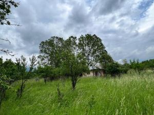 un champ d'herbe haute avec une maison et des arbres dans l'établissement Bulgaria Countryside House Tiny Villa Cottage by Mountains of Kazanlak, à Kazanlak