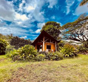 Zahrada ubytování Kalani Oceanside Retreat