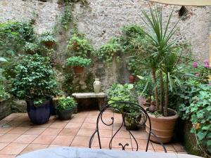 ヴェローナにあるCasa al Teatroの鉢植えの植物とベンチ、壁のある庭園