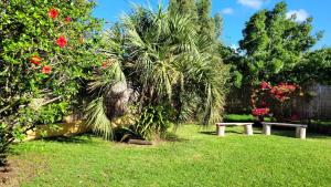 dos bancos en un jardín con árboles y flores en Chalet con piscina en San Luis, en San Luis