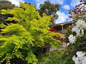 a garden of flowers and trees in front of a house at Lumeah - Servant Quarters in Hobart