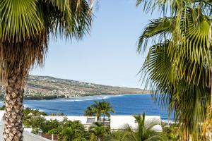 a view of the ocean from between two palm trees at Leu Boucan in Saint-Leu