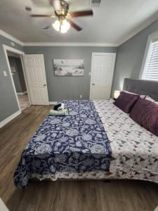 um quarto com uma cama com um gato deitado sobre ela em Blue Shark *E1* @ Midtown Large 1BR King Suite em Houston