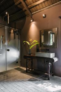 a bathroom with a sink and a shower at TOKI Retreat Vân Long in Ninh Binh