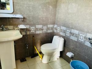 Pacific guest house في سكردو: حمام مع مرحاض ومغسلة