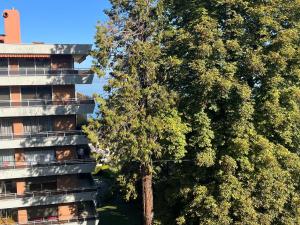 a tree in front of a building next to a building at Charmant appartement proche du lac avec Wi-Fi et parking à Évian-les-Bains - FR-1-498-96 in Évian-les-Bains +3 photos