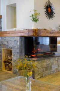 Φωτογραφία από το άλμπουμ του Hotel Natura σε Zreče