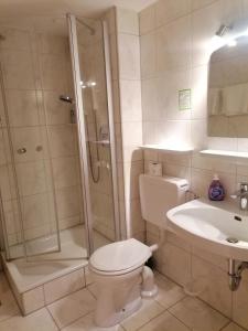 ein Bad mit einer Dusche, einem WC und einem Waschbecken in der Unterkunft Hotel-Restaurant Rebstock in Vogtsburg