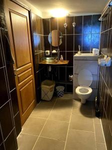 サン・ジョゼフにあるStudio gadiambの小さなバスルーム(トイレ、鏡付)