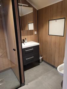een badkamer met een wastafel en een toilet bij Lapphaugen Turiststasjon in Tennevoll