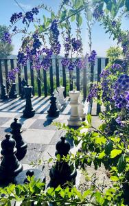 eine Gruppe Vasen auf einer Terrasse mit lila Blumen in der Unterkunft Finca El Otero in Aigues