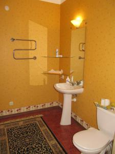a bathroom with a sink and a toilet and a mirror at Apartamentai Lampėdžiuose in Kaunas