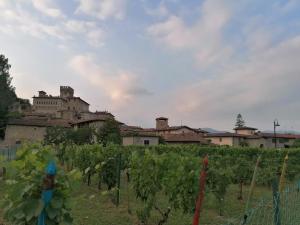 a vineyard with a castle in the background at Casa Sveva - Appartamento vista castello in Costa di Mezzate
