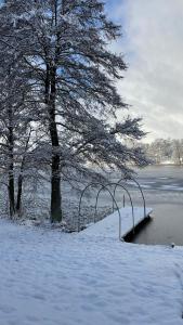 a snow covered pier next to a tree and water at Las i woda in Przywidz
