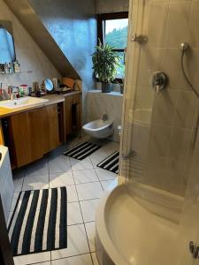 uma casa de banho com um chuveiro, um WC e um lavatório. em Cozy&spacious topfloor apartment em Schwaig bei Nürnberg