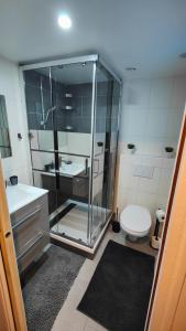 Un baño con ducha de cristal y un inodoro. en Studio Uno cosy, en Choisy-le-Roi