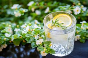 a glass of lemonade with a lemon slice at Penzion Šterk in Most na Soči