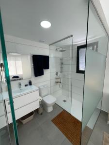 ein Bad mit einer Dusche, einem WC und einem Waschbecken in der Unterkunft Valentino Golf II Villamartin in Villamartin