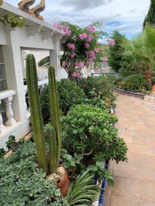 Kép Spanish Villa with private pool szállásáról Alicantéban a galériában