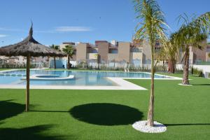 トレビエハにあるVivienda aguas nuevas familiar & deportivoのヤシの木と傘が備わるスイミングプール