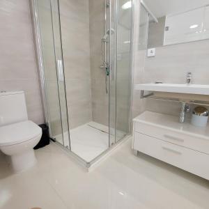 La salle de bains est pourvue d'une douche, de toilettes et d'un lavabo. dans l'établissement Property Punta prima Amay, à Torrevieja