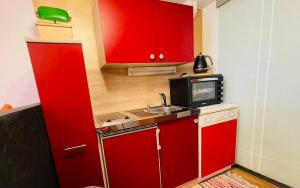 Ferienwohnung Amethyst tesisinde mutfak veya mini mutfak
