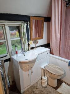 a bathroom with a sink and a toilet at Delightful 3bed thatched Cottage in Stockbridge