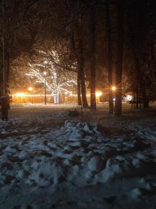 un parque cubierto de nieve por la noche con luces en Elva Stuudiomajutus en Elva