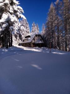 una casa cubierta de nieve frente a los árboles en Studios Šumska Kuća 1, en Kopaonik