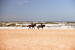 zwei Leute reiten auf Pferden am Strand in der Unterkunft Hotel Bloemendaal in Bloemendaal