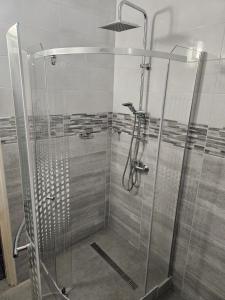 a shower with a glass enclosure in a bathroom at Németh Apartmanok in Zalakaros