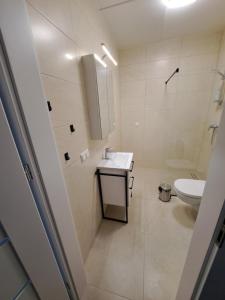 a bathroom with a sink and a toilet at 2 kambarių butas ramioje vietoje in Palanga +14 photos