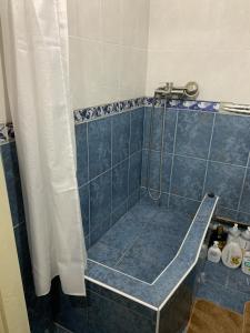 La salle de bains est pourvue d'une douche et de carrelage bleu. dans l'établissement One Room Apartment, à Chişinău