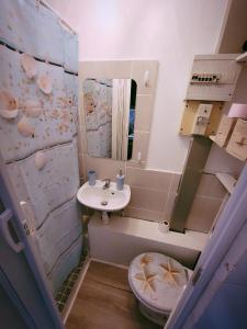 a bathroom with a sink and a toilet and a mirror at Studio 1 piece vacances proche de la mer in Le Grau-du-Roi
