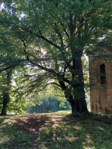 a large tree in a field next to a building at Stylish Getaway at Austrian Renaissance Castle in Kalsdorf bei Ilz