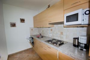 a kitchen with a sink and a microwave at Apart Bergecho in Nauders