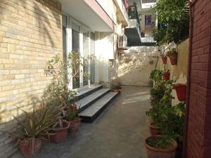 een steegje met potplanten aan de zijkant van een gebouw bij White Lotus Karachi in Karachi