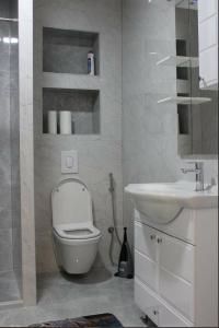 a bathroom with a toilet and a sink at Apartment Ilidza-SK 2 in Sarajevo
