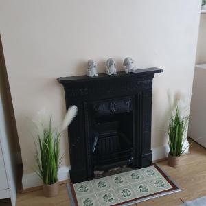 a black fireplace in a room with two plants at sweet dreams A in London