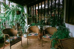 a porch with wicker chairs and potted plants at Casa de Dona Rosa in Mata de Sao Joao