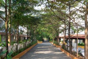 a corridor of trees in a street at Sterling Stolen Heaven Lonavala in Lonavala