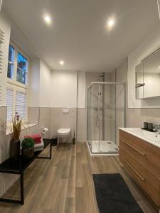 a bathroom with a shower and a toilet and a sink at Ferienwohnungen Zum Neuhäusel in Quedlinburg +119 photos