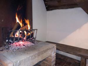 a fireplace with a fire in a room at Helichrysum in Vinci
