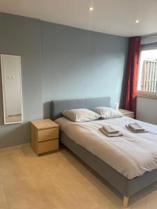 una camera da letto con un letto e due asciugamani di Le Brasilia - Appartement neuf pour 4 personnes avec terrasse a Strasburgo