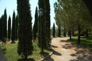 モンテスペルトリにあるVilla Panconesiのギャラリーの写真