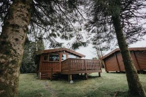 a large wooden cabin in a field with trees at Rural Log Cabin in Snowdonia - 2 Bedrooms & Parking in Ffestiniog