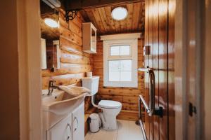a bathroom with a toilet and a sink and a window at Rural Log Cabin in Snowdonia - 2 Bedrooms & Parking in Ffestiniog