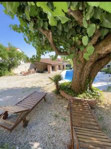 a picnic table and a bench under a tree at Villa Angiolina in Višnjan