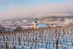 a building in a vineyard with snow on the ground at Freigut Thallern in Gumpoldskirchen