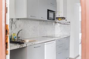 een witte keuken met een wastafel en een magnetron bij Malfatti Urban Oasis in Wenen